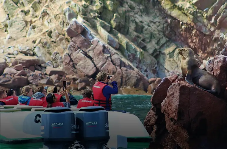 Islas Ballestas en Paracas, Pisco atractivo cercano a Paracas Realty Beach