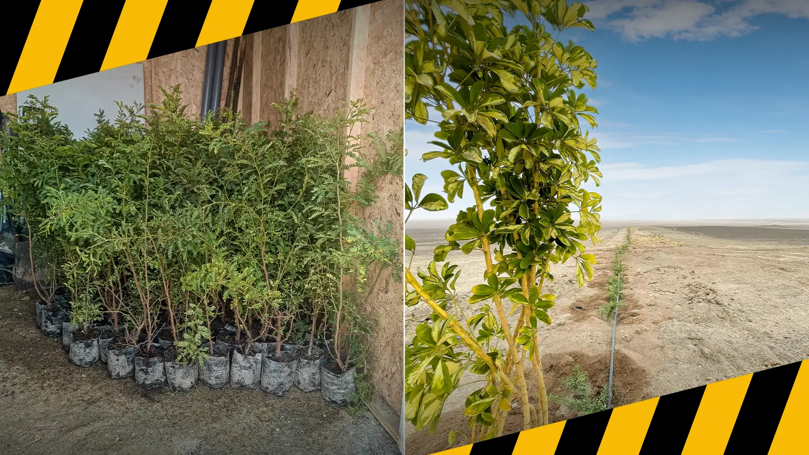 Avances_de_obra_1600x900_3